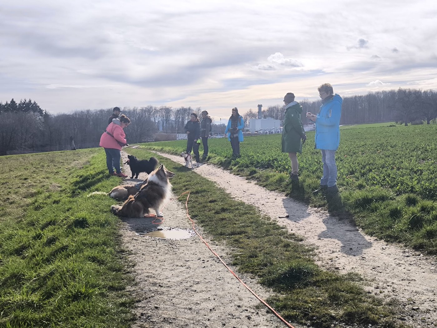 Gruppentraining unterwegs auf dem Feldweg