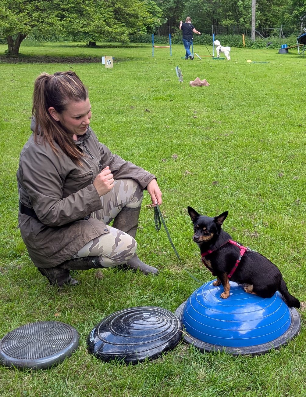 Balancearbeit auf dem Kissen