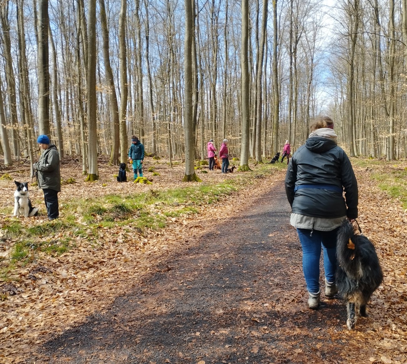 Gemeinsamer Spaziergang im Wald