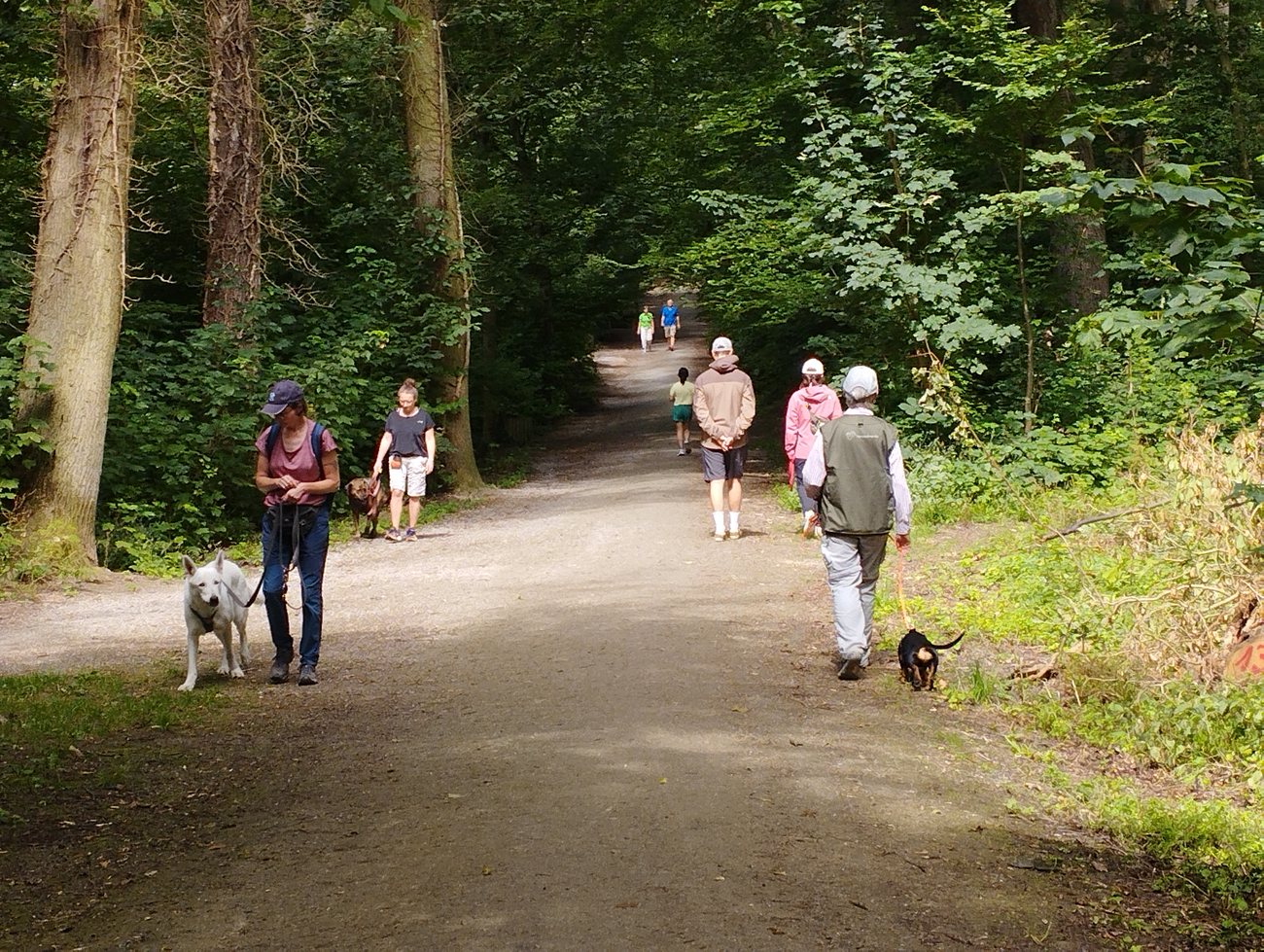 Entspanntes Miteinander auf dem Weg