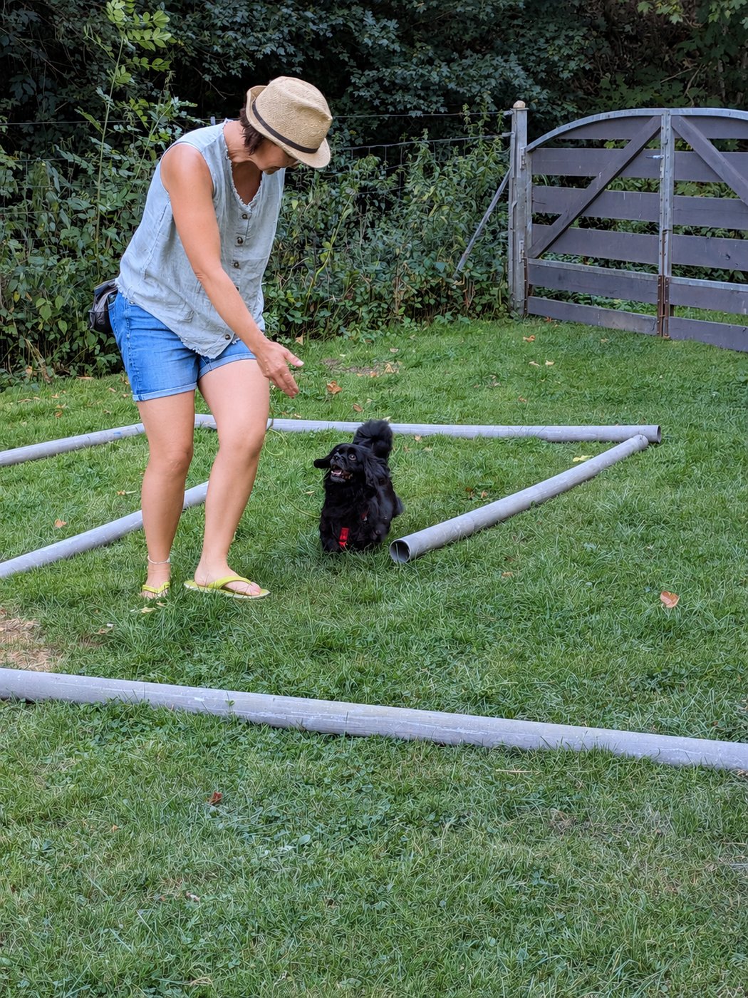 Frieda beim Zirkeltraining durch den Reifen