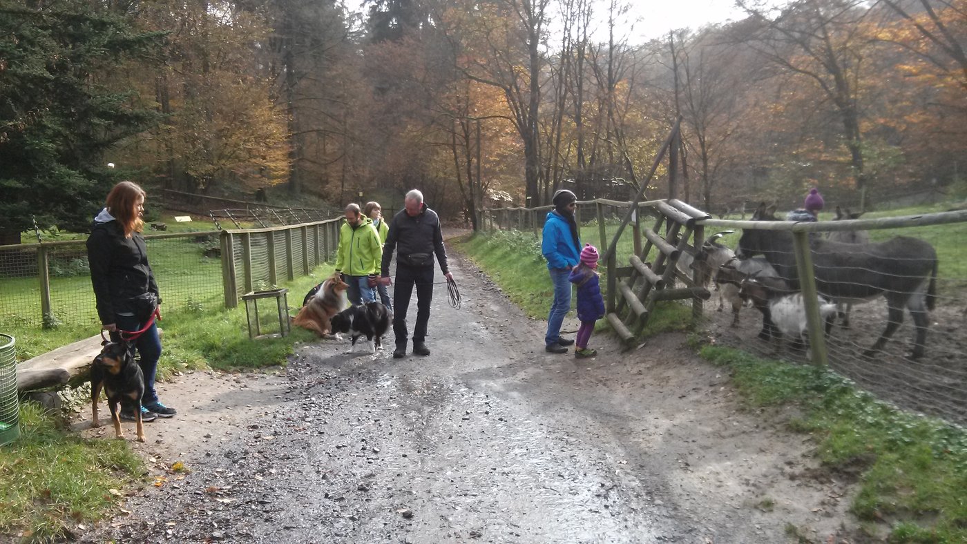 Alltagstraining in der Gruppe unterwegs